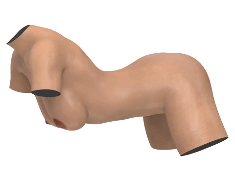 Realistic Female Torso with Genitalia 3D Model