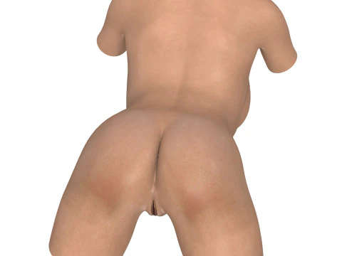 Realistic Female Torso with Genitalia 3D Model
