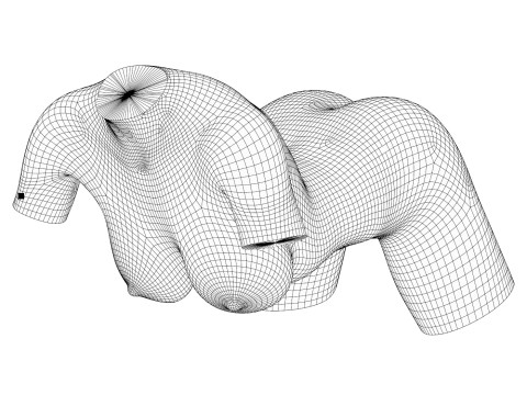 Realistic Female Torso with Genitalia 3D 모델
