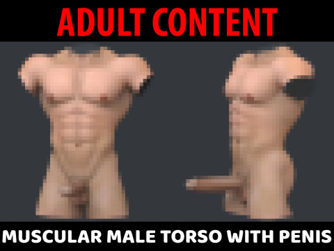 Muscular Male Torso with Penis Modello 3D