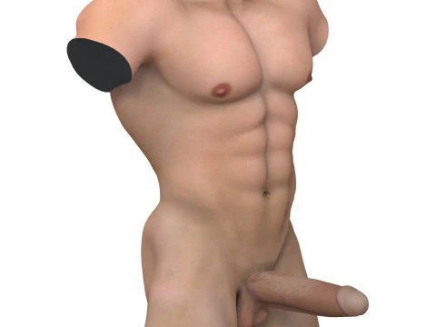 Muscular Male Torso with Penis 3D Model