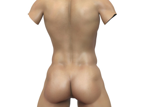 Muscular Female Torso with Vagina 3D Model