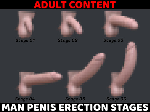 Man Penis Erection Stages 3D Модель