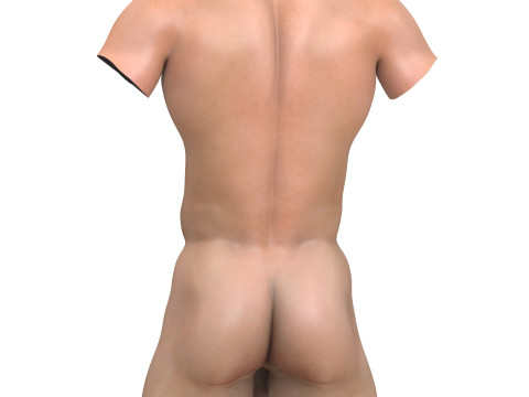 Fantasy Penis With Man Torso 3D Model