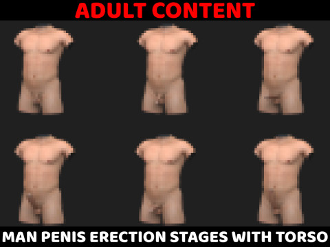 Man Penis Erection Stages with Torso 3D Модель