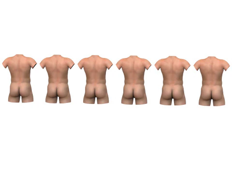 Est&aacute;gios de ere&ccedil;&atilde;o do p&ecirc;nis masculino com torso Modelo 3D