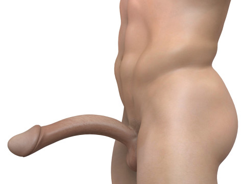 Man Fantasy Penis with Torso 3D Model