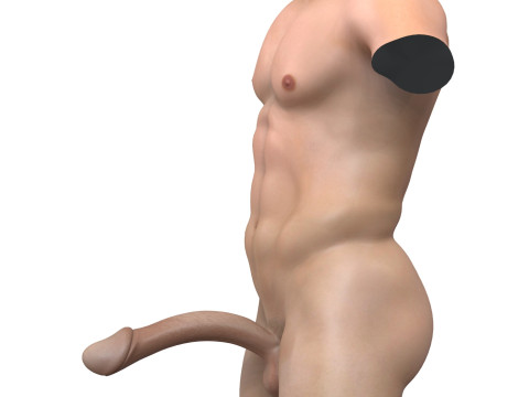 Man Fantasy Penis with Torso 3D Model