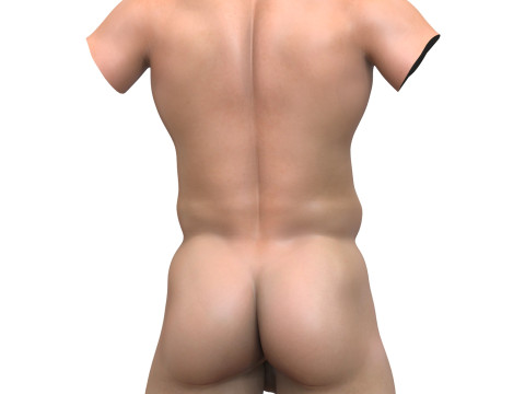 Man Fantasy Penis with Torso 3D Model