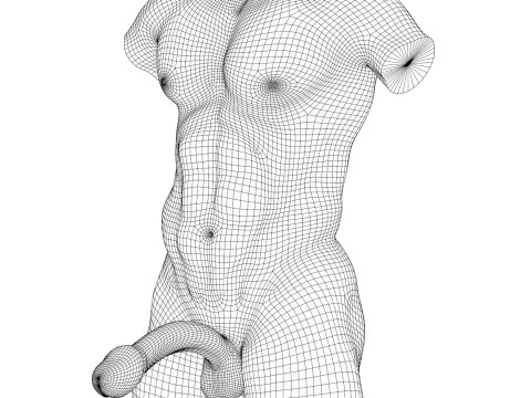 Man Fantasy Penis with Torso 3D Model