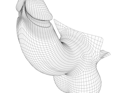 Realistic Male Penis 3D Model