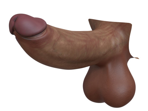 Realistic Man Monster Penis Modèle 3D