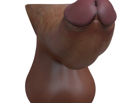 Realistic Man Monster Penis Modèle 3D