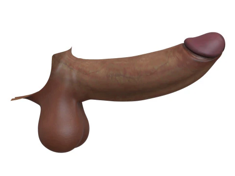 Realistic Man Monster Penis 3D Model