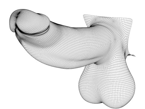 Realistic Man Monster Penis Modèle 3D