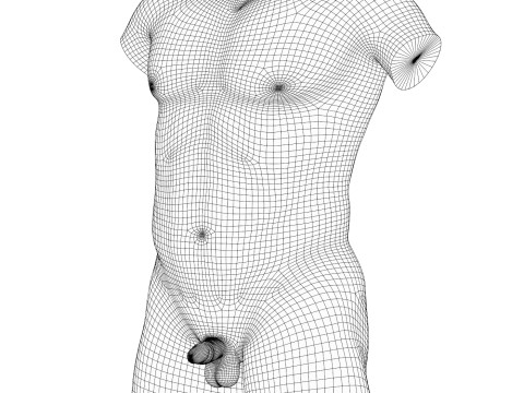 Small Man Penis with Torso 3D 模型