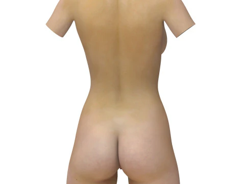 Woman Open Vagina with Torso 3D Model