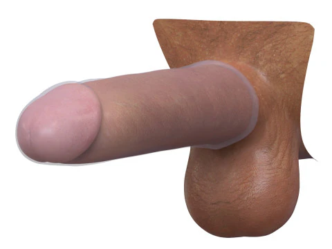 Man Penis with Condom 3D Model