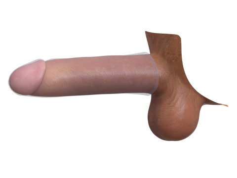 Man Penis with Condom 3D 模型
