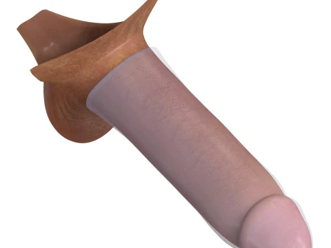 Man Penis with Condom 3D Model