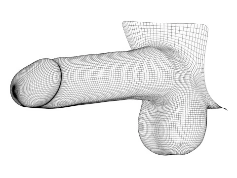 Man Penis with Condom 3D Model