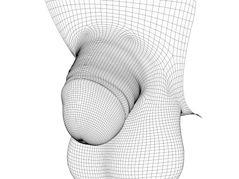 Realistic Small Male Penis Modello 3D
