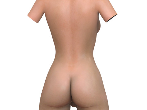 Transgender Torso with Penis Modèle 3D