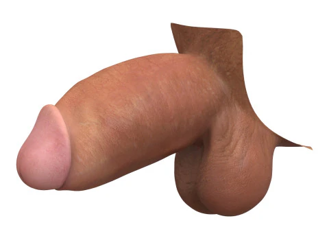 Monster Thick Male Penis 3D Model