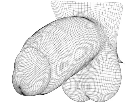 Monster Thick Male Penis 3D Model