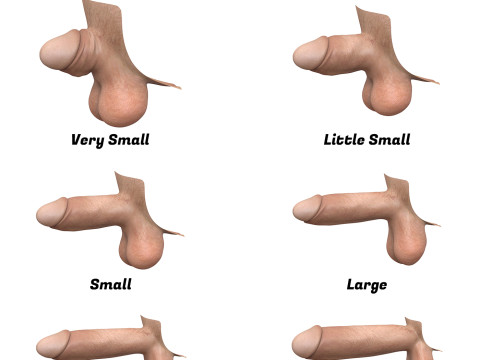Realistic Man Penis Collection Modèle 3D