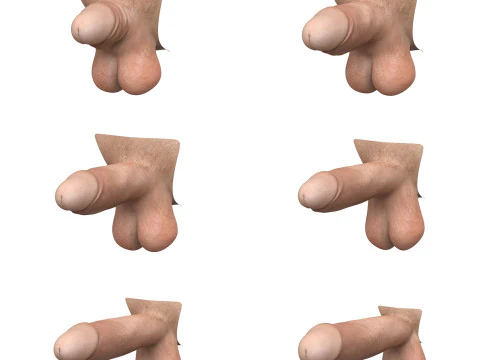 Ger&ccedil;ek&ccedil;i Adam Penis Koleksiyonu 3D Model