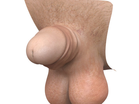 Realistic Man Penis Collection Modèle 3D