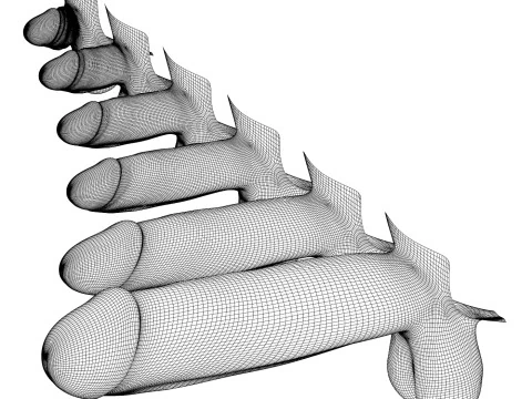 Ger&ccedil;ek&ccedil;i Adam Penis Koleksiyonu 3D Model