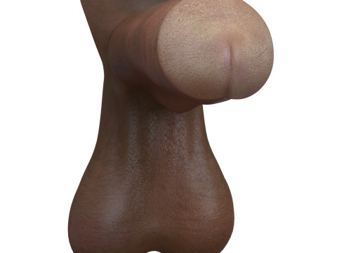 Man Big Monster Penis 3D Model