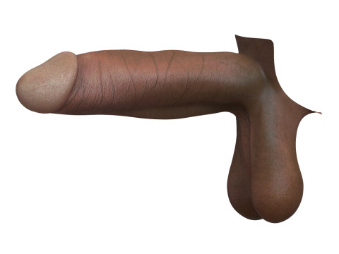 Man Big Monster Penis 3D Model