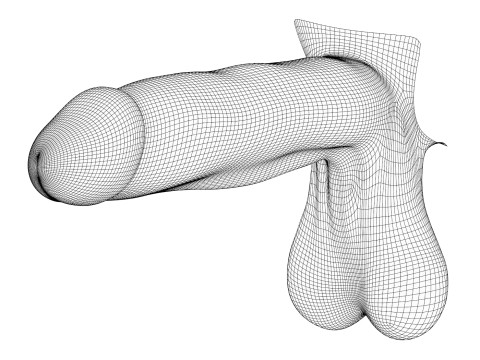 Man Big Monster Penis 3D Model