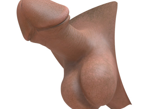 Man Small Fantasy Penis 3D 模型