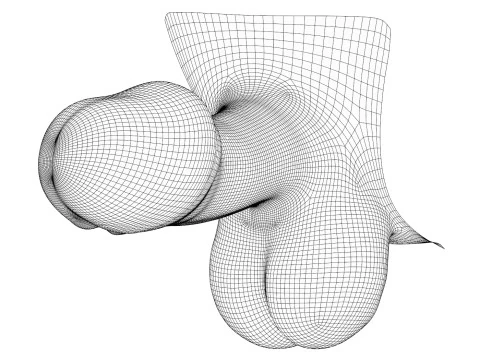 Man Small Fantasy Penis 3D Model