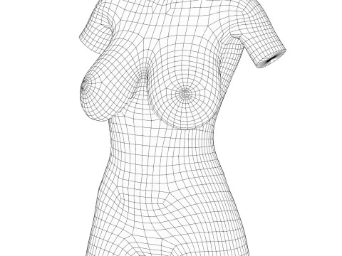 Realistic Woman Natural Breast 3D Model