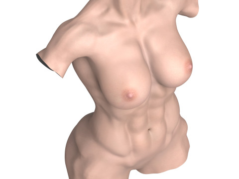Young Muscular Woman Torso 3D Модель