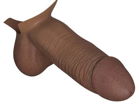 Photorealistic African Male Penis 3D Model