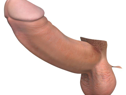 Photorealistic Male Big Penis 3D Model