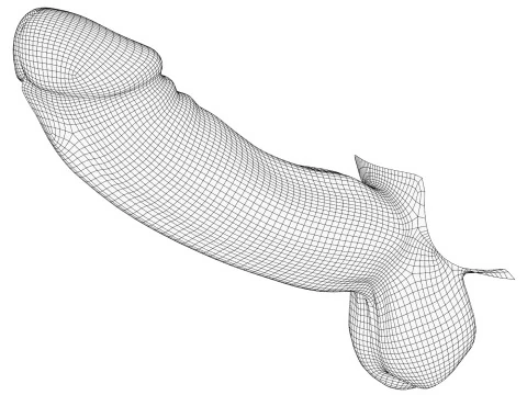 Photorealistic Male Big Penis 3D Model
