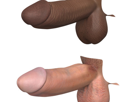 Photorealistic African And European Male Penis Collection Modèle 3D