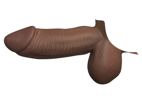Photorealistic African And European Male Penis Collection Modèle 3D