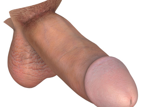 Photorealistic African And European Male Penis Collection Modèle 3D