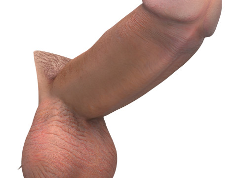 Photorealistic African And European Male Penis Collection Modèle 3D