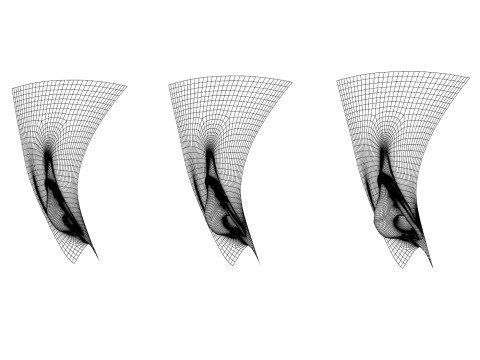 Woman Vagina Stages Collection 3D Model