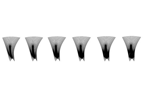 Woman Vagina Stages Collection 3D Model