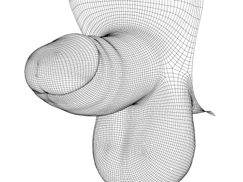 Realistic Small Erect Penis 3D Model